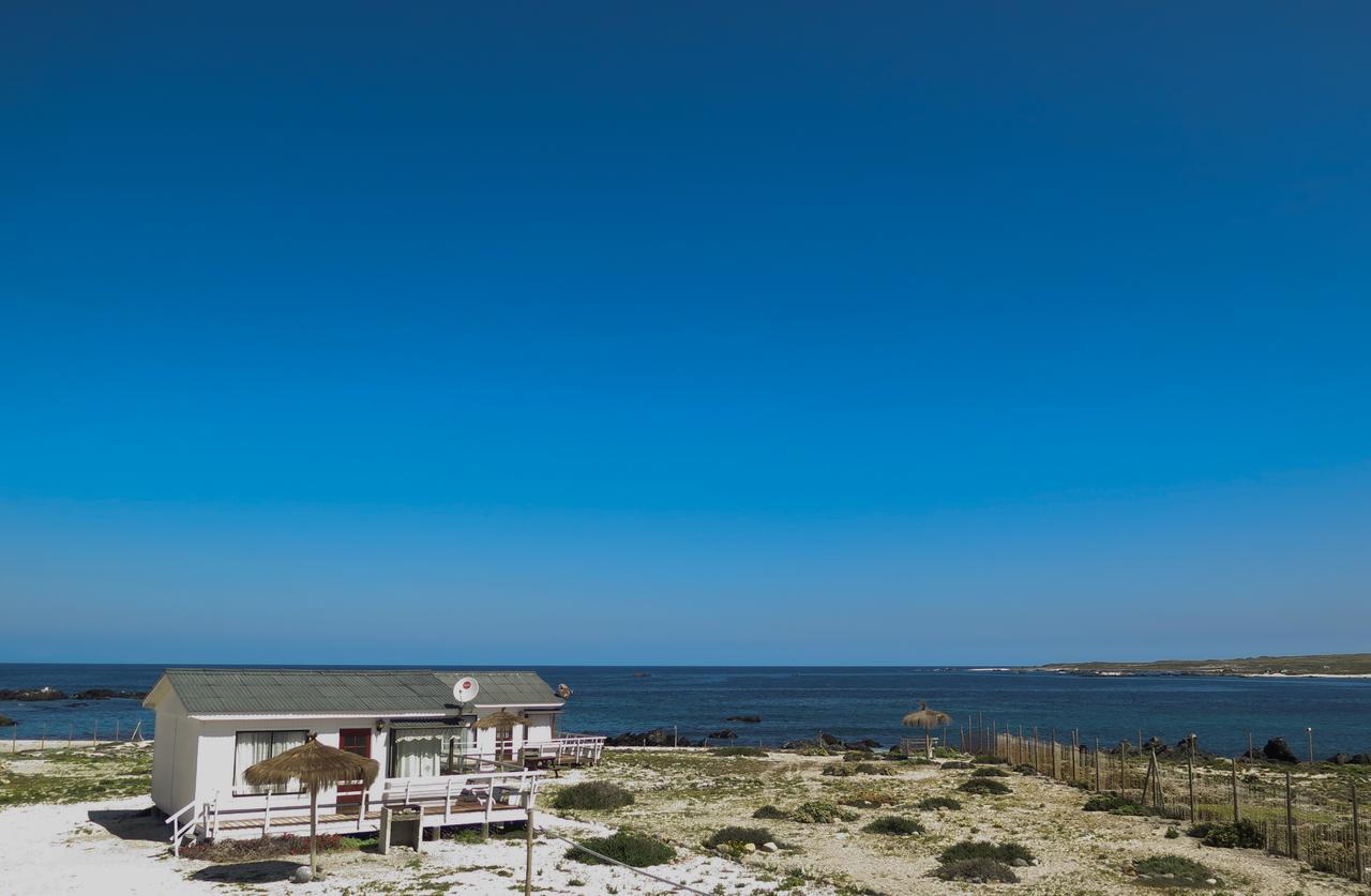 Refugio Humboldt Punta Choros Exterior foto